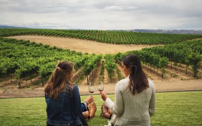 Découvrez le vin des grandes occasions